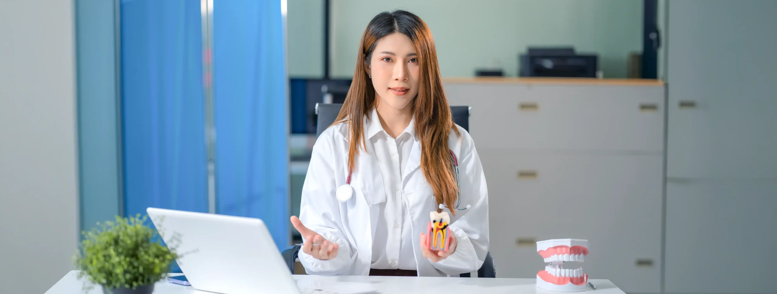 Female dentist at a desk explaining tooth anatomy using a cross-section tooth model and jaw model beside a laptop
