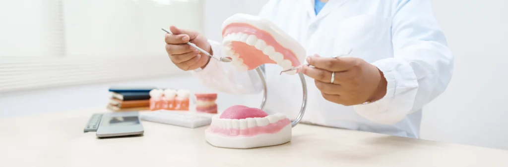 Dentist examining a denture model with dental instruments.