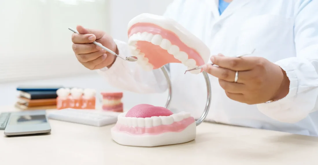 Dentist examining a denture model with dental instruments.