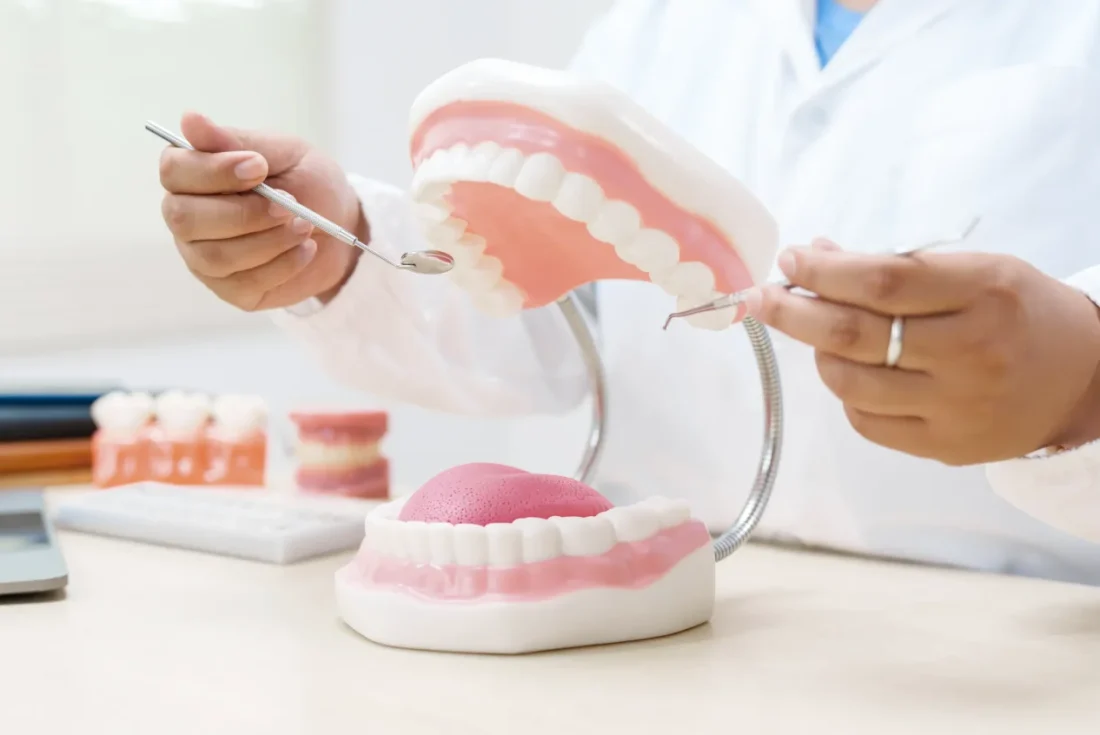 Dentist examining a denture model with dental instruments.